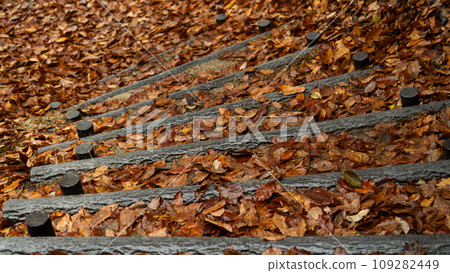 樓梯和落葉的風景 109282449