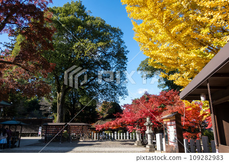 高崎市的秋葉小林山拓真寺院區 109282983
