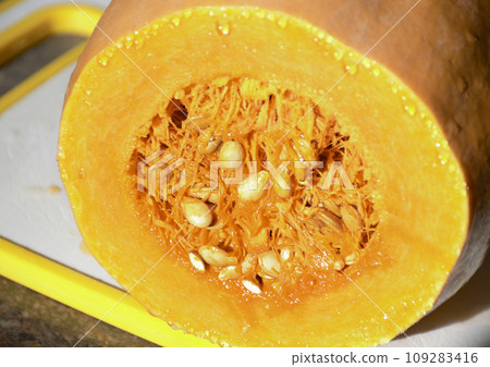 cut pumpkin close-up. the vegetable pulp and seeds are clearly visible cut pumpkin close-up. the vegetable pulp and seeds are clearly visible 109283416