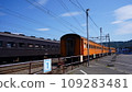 Oigawa Railway's SL steam locomotive and train 109283481