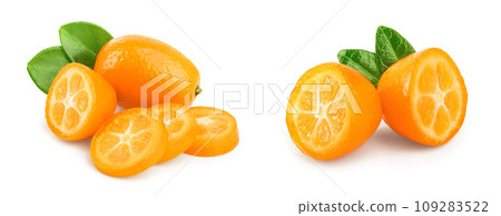 Cumquat or kumquat with slices isolated on white background Cumquat or kumquat with slices isolated on white background 109283522