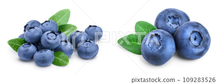 fresh blueberry with leaves isolated on white background closeup. Full depth of field fresh blueberry with leaves isolated on white background closeup. Full depth of field 109283526