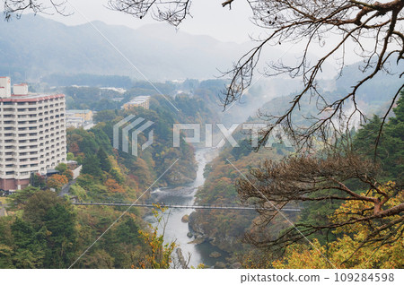 View from Tochigi Tateiwa Observation Deck 109284598
