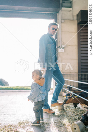 Goat sniffs the shoes of a dad standing with a little girl near the fence of the paddock 109284698