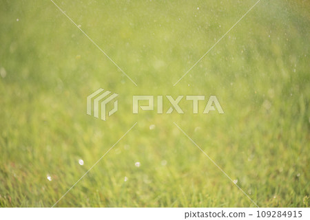 Defocused photo of a lawn with flying water droplets. Defocus light green grass, bokeh. Defocused photo of a lawn with flying water droplets. Defocus light green grass, bokeh. 109284915