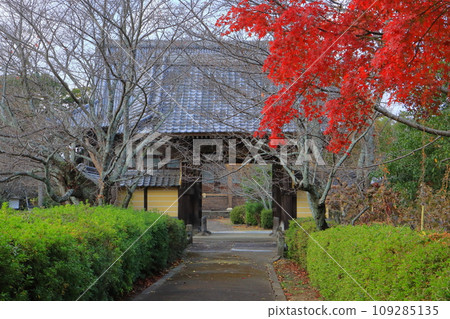 勝行寺三門（中津市登錄有形文化財產） 109285135