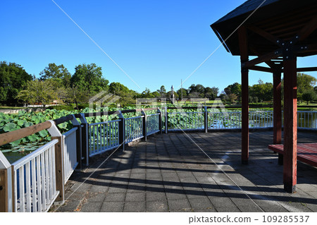 Heisei no Mori Park Shukei Pond Tower of Time Kawajima Town 109285537