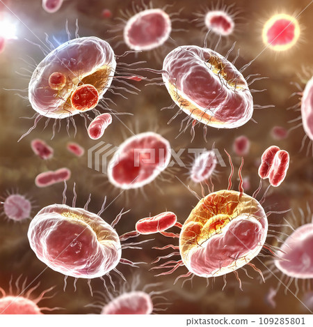 A group of bacteria under microscope. 109285801