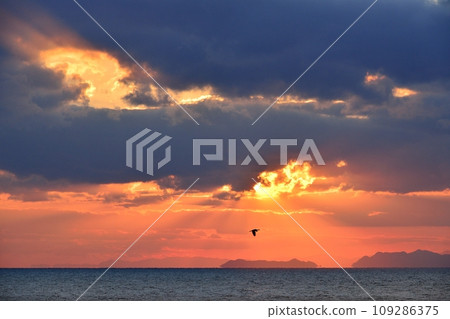 Sunset from Shirasaki Marine Park Sunset from Shirasaki Marine Park 109286375