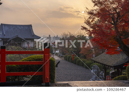 Funaokayama, Kyoto in autumn, Kenkun Shrine approach bathed in the morning sun 109286467