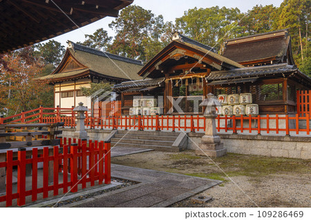 Funaokayama, Kyoto in autumn, the main hall of Kenkun Shrine bathed in the morning sun 109286469