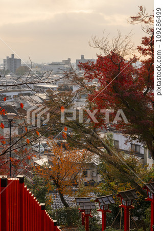 Kenkun Shrine in the early morning, the cityscape of Kyoto seen from the top of Mt. Funaoka, Kyoto in autumn 109286499