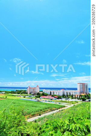 Okinawa Miyakojima summer blue sky and resort scenery 109286729