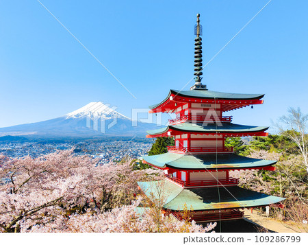 Arakurayama Sengen Park (spring) 109286799
