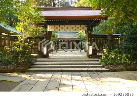 Komaki Suwa Shrine in Nagareyama City is in a forest of large trees after passing through the torii gate. 109286856