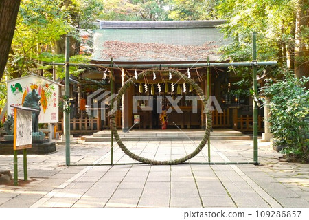 Komaki Suwa Shrine in Nagareyama City is in a forest of large trees after passing through the torii gate. Komaki Suwa Shrine in Nagareyama City is in a forest of large trees after passing through the torii gate. 109286857