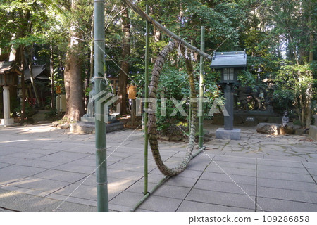 Komaki Suwa Shrine in Nagareyama City is in a forest of large trees after passing through the torii gate. 109286858