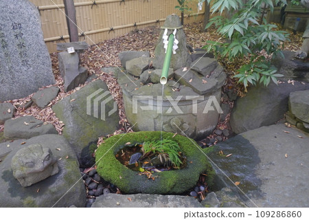 流山市的小牧諏訪神社穿過鳥居，就進入了大樹林中。 109286860