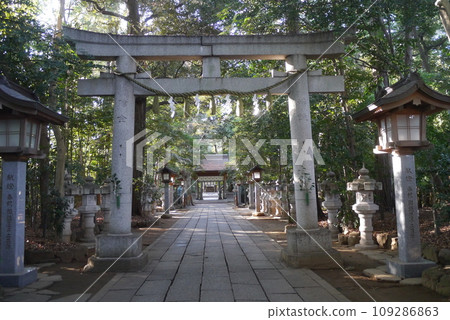 Komaki Suwa Shrine in Nagareyama City is in a forest of large trees after passing through the torii gate. 109286863