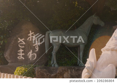 Komaki Suwa Shrine in Nagareyama City is in a forest of large trees after passing through the torii gate. 109286864