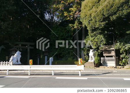 Komaki Suwa Shrine in Nagareyama City is in a forest of large trees after passing through the torii gate. 109286865