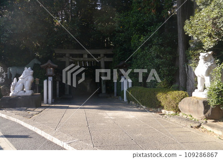 Komaki Suwa Shrine in Nagareyama City is in a forest of large trees after passing through the torii gate. 109286867