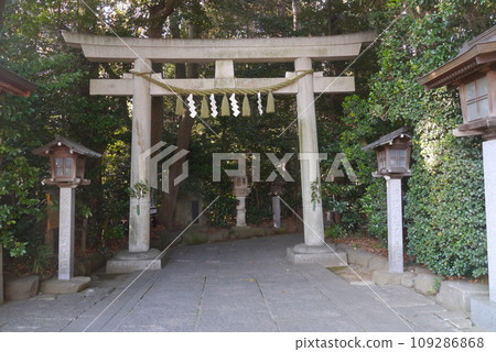 Komaki Suwa Shrine in Nagareyama City is in a forest of large trees after passing through the torii gate. 109286868