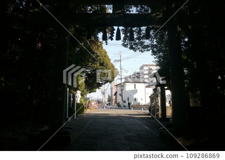 Komaki Suwa Shrine in Nagareyama City is in a forest of large trees after passing through the torii gate. 109286869