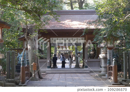 Komaki Suwa Shrine in Nagareyama City is in a forest of large trees after passing through the torii gate. 109286870