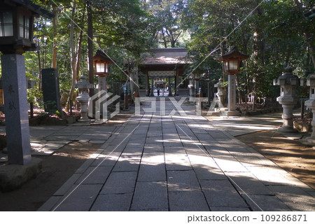 Komaki Suwa Shrine in Nagareyama City is in a forest of large trees after passing through the torii gate. 109286871
