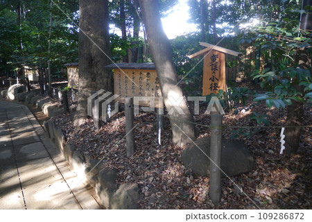 Komaki Suwa Shrine in Nagareyama City is in a forest of large trees after passing through the torii gate. 109286872