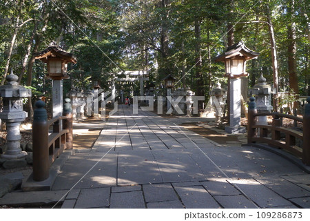 Komaki Suwa Shrine in Nagareyama City is in a forest of large trees after passing through the torii gate. 109286873
