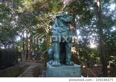 Komaki Suwa Shrine in Nagareyama City is in a forest of large trees after passing through the torii gate. 109286875