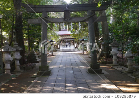 Komaki Suwa Shrine in Nagareyama City is in a forest of large trees after passing through the torii gate. 109286879
