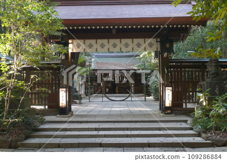 Komaki Suwa Shrine in Nagareyama City is in a forest of large trees after passing through the torii gate. 109286884
