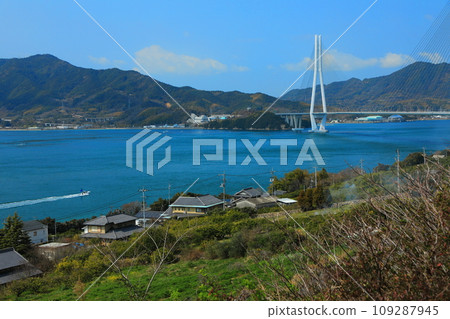 Setoda Parking Area/View of the Seto Inland Sea and Tatara Bridge from the descent (Setoda Town, Onomichi City, Hiroshima Prefecture, Japan) 109287945