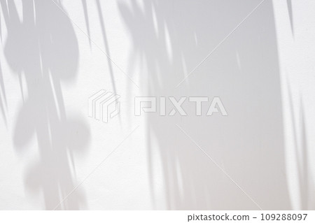 Abstract natural tree leaves on white wall background 109288097