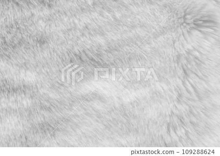 White fur fabric texture background 109288624