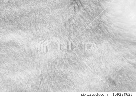 White fur fabric texture background White fur fabric texture background 109288625
