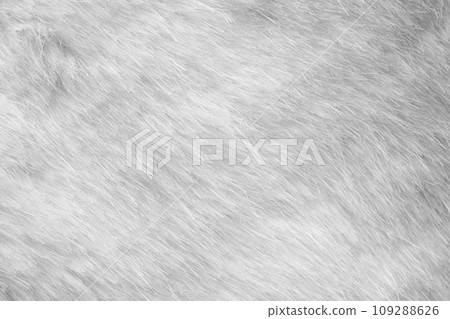 White fur fabric texture background White fur fabric texture background 109288626