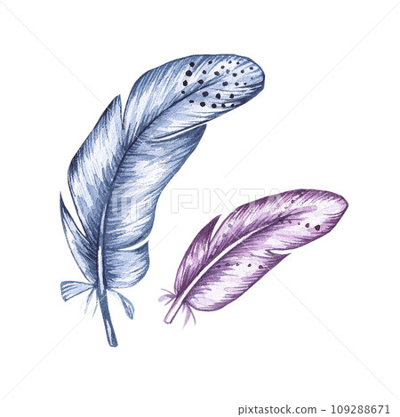 Watercolor bird feather isolated on white 109288671