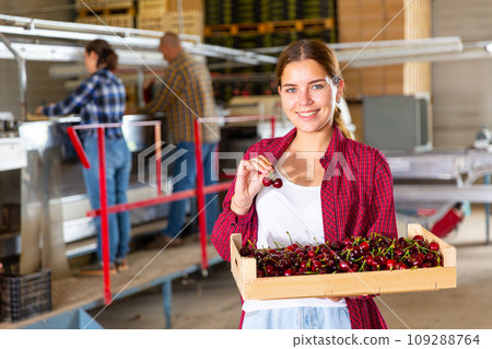 Positive girl farmer stands in warehouse holding a crate of cherries 109288764
