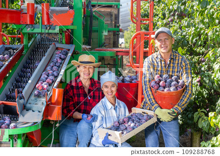 Photo of plantation workers and crop collecting machine 109288768