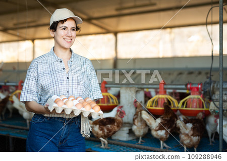 Smiling adult latin woman in plaid shirt and cap collecting eggs in chicken Smiling adult latin woman in plaid shirt and cap collecting eggs in chicken 109288946