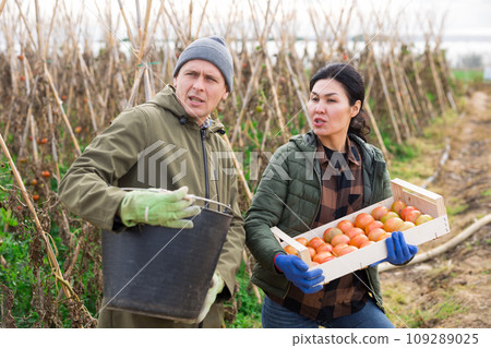 Man and woman in vegetable garden Man and woman in vegetable garden 109289025