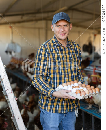 Successful poultry farm owner holding carton tray of eggs in chicken coop 109289165