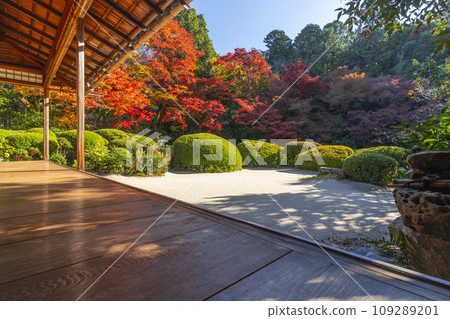 Autumn in Kyoto, Shisendo, Shoin Garden with autumn leaves Autumn in Kyoto, Shisendo, Shoin Garden with autumn leaves 109289201