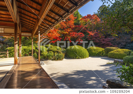 京都的秋天,四仙堂,松陰花園,秋葉 京都的秋天,四仙堂,松陰花園,秋葉 109289204