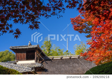 京都的秋天、紫仙堂、小月樓和秋葉 京都的秋天、紫仙堂、小月樓和秋葉 109289218