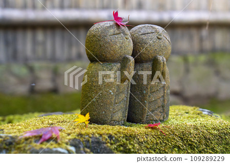 秋天的紫仙堂：可愛的地藏菩薩站在長滿青苔的花園裡 109289229